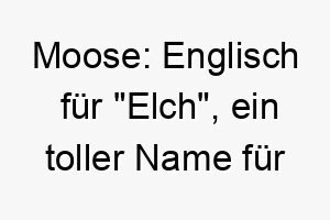 moose englisch fuer elch ein toller name fuer einen grossen starken hund 22688