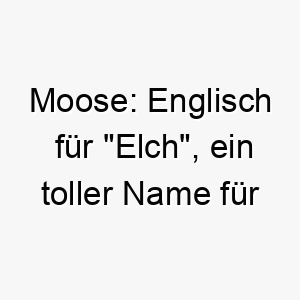 moose englisch fuer elch ein toller name fuer einen grossen starken hund 22688