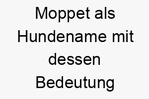 moppet als hundename mit dessen bedeutung 16745