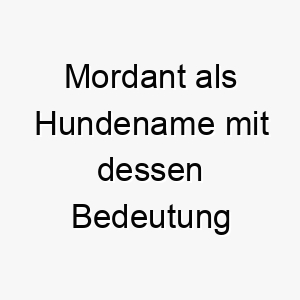 mordant als hundename mit dessen bedeutung 16692