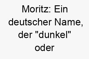 moritz ein deutscher name der dunkel oder dunkelhaeutig bedeutet passend fuer einen hund mit dunklem fell 22431