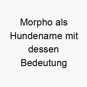 morpho als hundename mit dessen bedeutung 16606