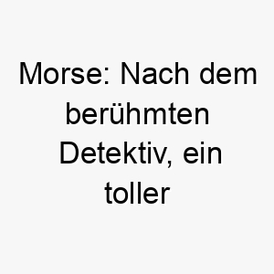 morse nach dem beruehmten detektiv ein toller name fuer einen klugen aufmerksamen hund 22394