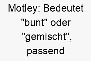 motley bedeutet bunt oder gemischt passend fuer einen hund mit einer gemischten rasse oder einem einzigartigen fellmuster 22422