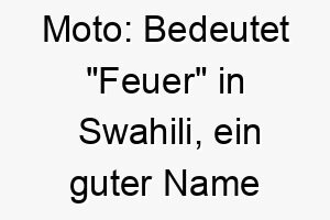 moto bedeutet feuer in swahili ein guter name fuer einen lebhaften energiegeladenen hund 22407