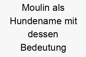 moulin als hundename mit dessen bedeutung 16771