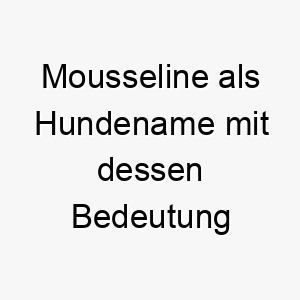 mousseline als hundename mit dessen bedeutung 16757