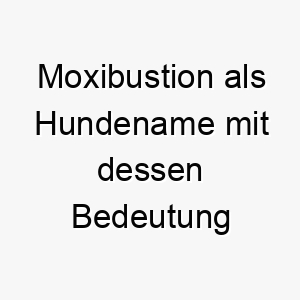 moxibustion als hundename mit dessen bedeutung 16524