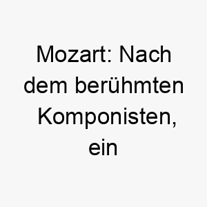 mozart nach dem beruehmten komponisten ein musikalischer und kuenstlerischer name fuer einen hund der melodische klaenge oder kuenstlerische aktivitaeten geniesst 22710