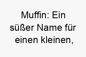 muffin ein suesser name fuer einen kleinen liebenswerten hund der so suess ist wie ein muffin 22434