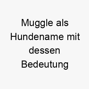 muggle als hundename mit dessen bedeutung 16603