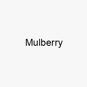 mulberry 16215