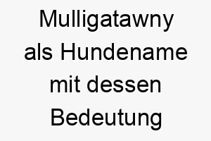 mulligatawny als hundename mit dessen bedeutung 16695