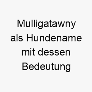 mulligatawny als hundename mit dessen bedeutung 16695