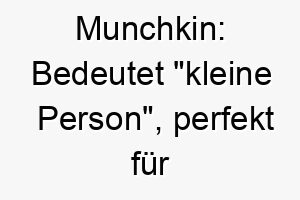 munchkin bedeutet kleine person perfekt fuer kleinere rassen 22401