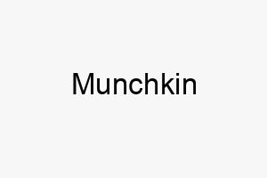 munchkin 6774