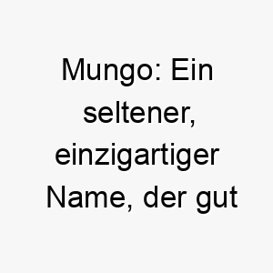 mungo ein seltener einzigartiger name der gut zu einem ebenso einzigartigen hund passt 22393