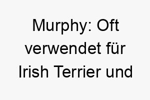 murphy oft verwendet fuer irish terrier und andere irische rassen als hommage an ihr erbe 22378