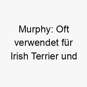 murphy oft verwendet fuer irish terrier und andere irische rassen als hommage an ihr erbe 22378