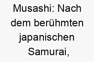 musashi nach dem beruehmten japanischen samurai ein starkes wuerdiges namenswahl fuer einen tapferen hund 22417