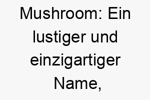 mushroom ein lustiger und einzigartiger name perfekt fuer einen kleinen molligen hund 22446