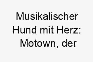 musikalischer hund mit herz motown der groove liebhaber 22803