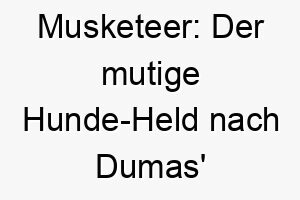 musketeer der mutige hunde held nach dumas beruehmten charakteren 22892