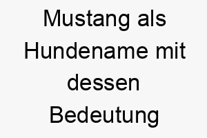 mustang als hundename mit dessen bedeutung 16593