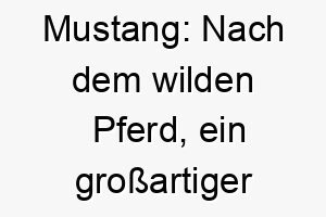 mustang nach dem wilden pferd ein grossartiger name fuer einen unabhaengigen starken hund 22469