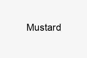 mustard 16214