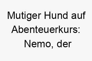 mutiger hund auf abenteuerkurs nemo der furchtlose fisch 23263