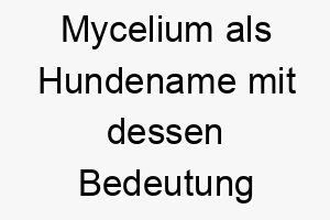 mycelium als hundename mit dessen bedeutung 16765