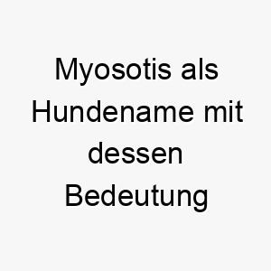 myosotis als hundename mit dessen bedeutung 2 16751