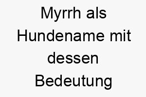 myrrh als hundename mit dessen bedeutung 16587