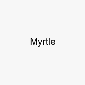 myrtle 2 16217