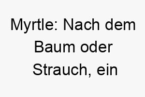 myrtle nach dem baum oder strauch ein natuerlicher und erdiger name fuer einen natur liebenden hund 22685