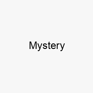 mystery 16220