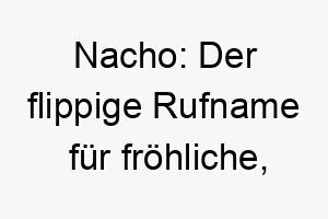 nacho der flippige rufname fuer froehliche herumtollende vierbeiner 23194