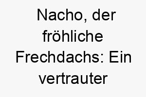 nacho der froehliche frechdachs ein vertrauter spanischer name fuer verspielte vierbeiner 23090