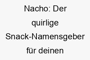 nacho der quirlige snack namensgeber fuer deinen spassigen vierbeiner 23270