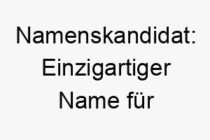 namenskandidat einzigartiger name fuer besonderen hund 23712