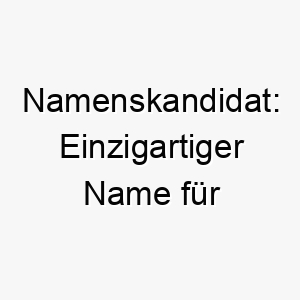 namenskandidat einzigartiger name fuer besonderen hund 23712