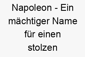 napoleon ein maechtiger name fuer einen stolzen und stuermischen hund 23241