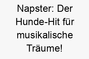 napster der hunde hit fuer musikalische traeume 23277