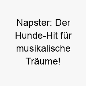 napster der hunde hit fuer musikalische traeume 23277