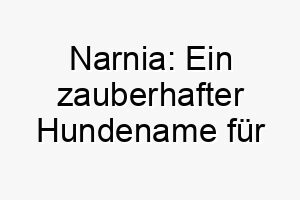 narnia ein zauberhafter hundename fuer abenteuerlustige 23215