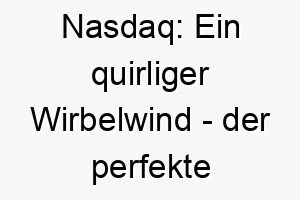 nasdaq ein quirliger wirbelwind der perfekte name fuer einen energiegeladenen hundeclown 23169