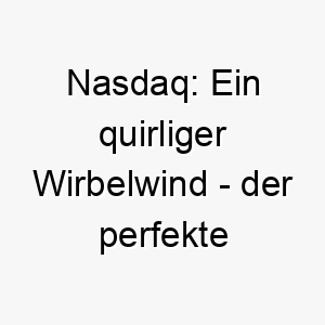 nasdaq ein quirliger wirbelwind der perfekte name fuer einen energiegeladenen hundeclown 23169