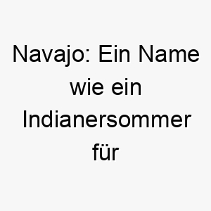 navajo ein name wie ein indianersommer fuer mutige hundeseelen 23211