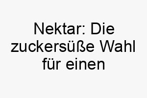 nektar die zuckersuesse wahl fuer einen liebenswerten vierbeiner 23199